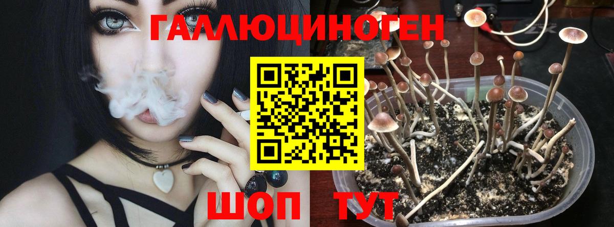 Конаково  Галлюциногенные грибы ЛСД  Псилоцибиновые грибы Magic Shrooms  Вход с VPN 